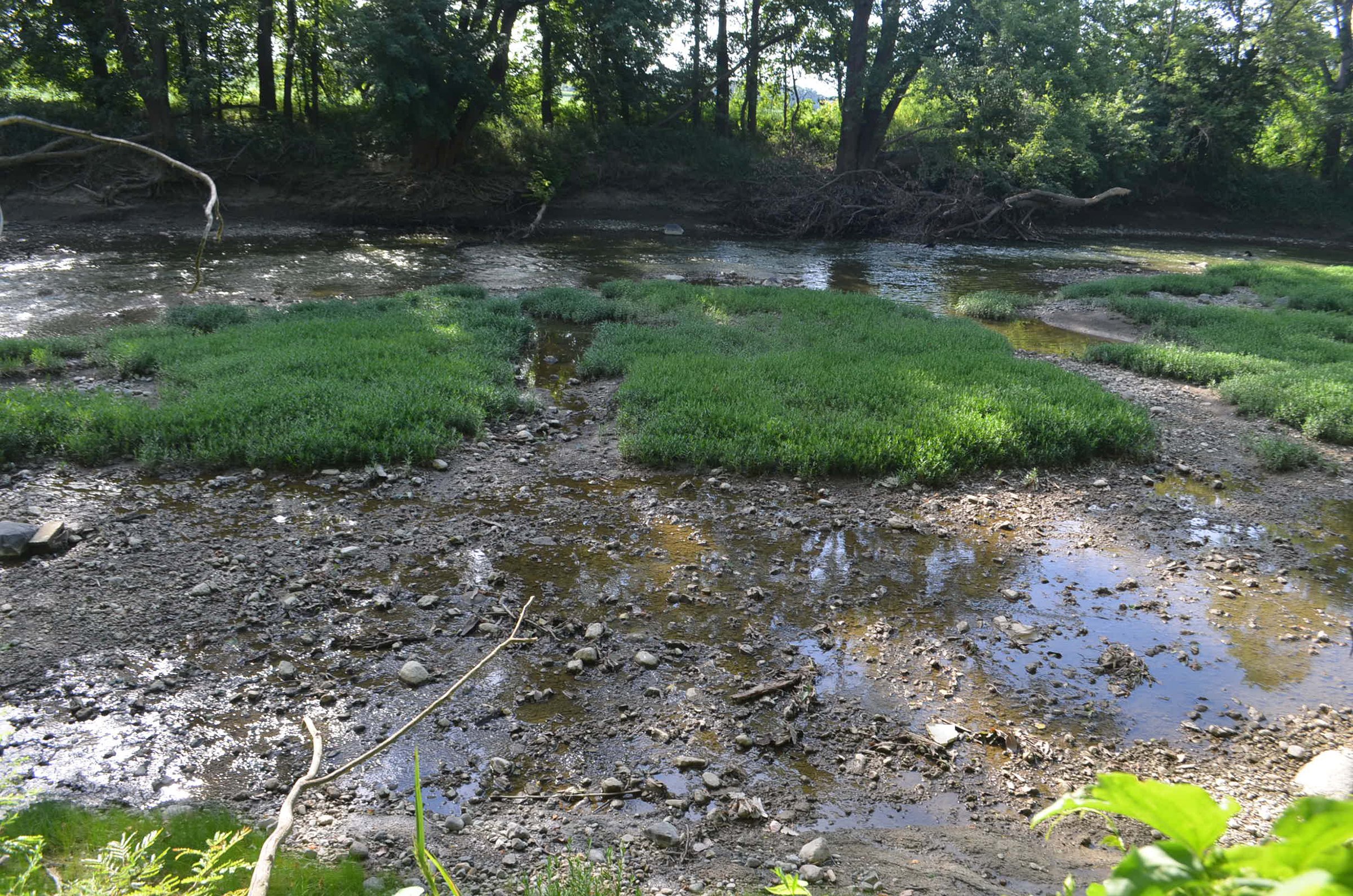 Property photo 33 - REAL ESTATE AUCTION - 26+/- ACRES IN 3 TRACTS IN SOUTHWEST ALLEN COUNTY, INDIANA